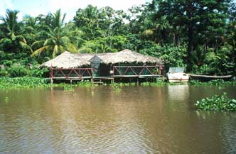 Rondreis Orinoco Delta met  Flamboyant