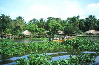 Rondreis Orinoco Delta met  Bingo All inclusive